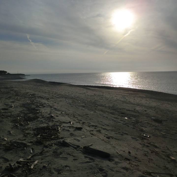 2c3d4828 4eef 4f43 9844 52ccb724fcd0 1585569566084