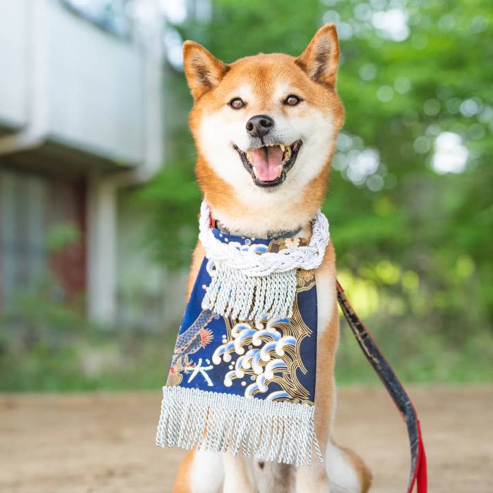 2c3d8554 9978 4a45 a95d d60be226519b 1715092715015