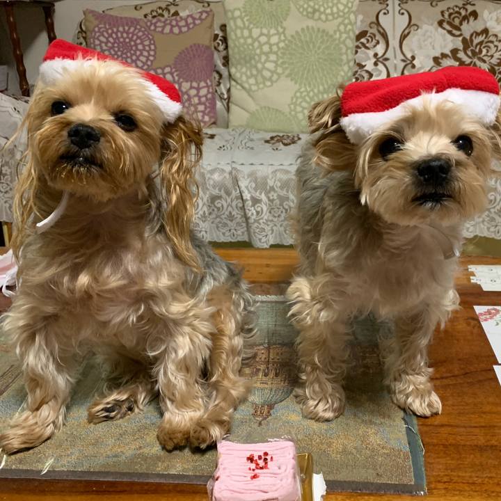 2c3dc431 54a1 47ed b067 08295bc4ffe5 1545642186639