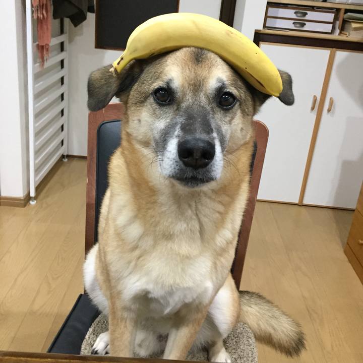 2c3dcc12 5d3d 4efe b0c2 45db0568de14 1516260474752