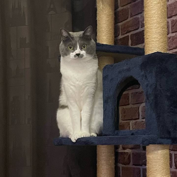 2c3dee9b ebff 467e a0bf e138292f6c5d 1699871041369