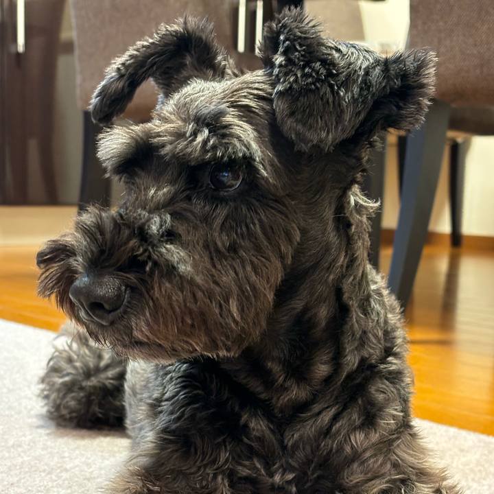 2c3dfe7c 17c3 433a 9390 c3261434aa85 1729315274371