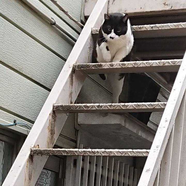 2c3e031a aa24 4238 801d 19db4efa15a7 1592469790176