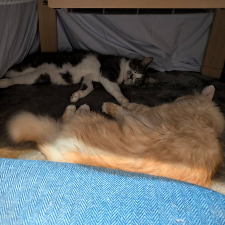 2c3e0ad9 c4dc 4c5f bc56 7dbca67a2a64 1731496451863