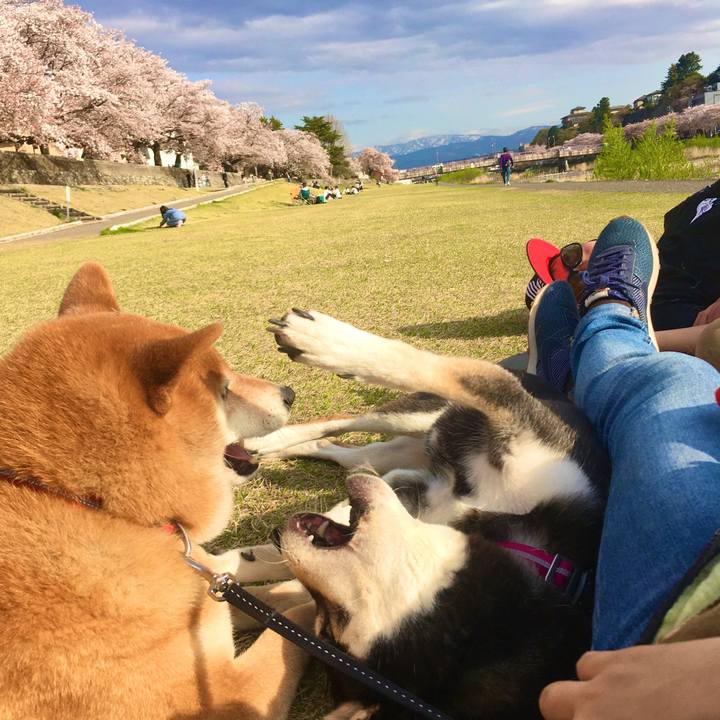 2c3e18a9 65db 4e8e 9881 20b7265cc5cb 1617496390275