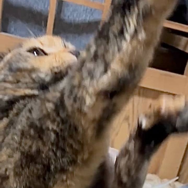 2c3e3a0c faff 45af 827e b88d297be18e 1771965975460