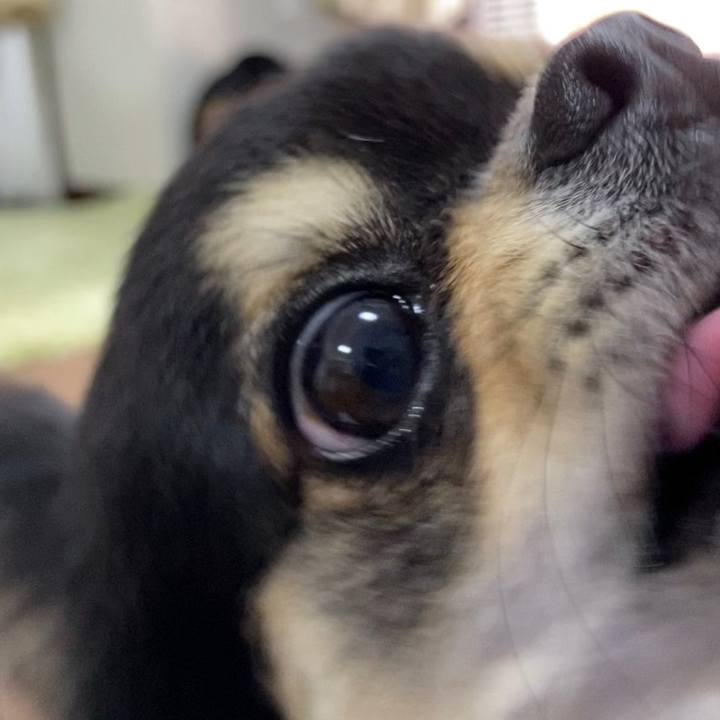 2c3e463f 5dde 4315 a57f a757ed2769c3 1618885809898