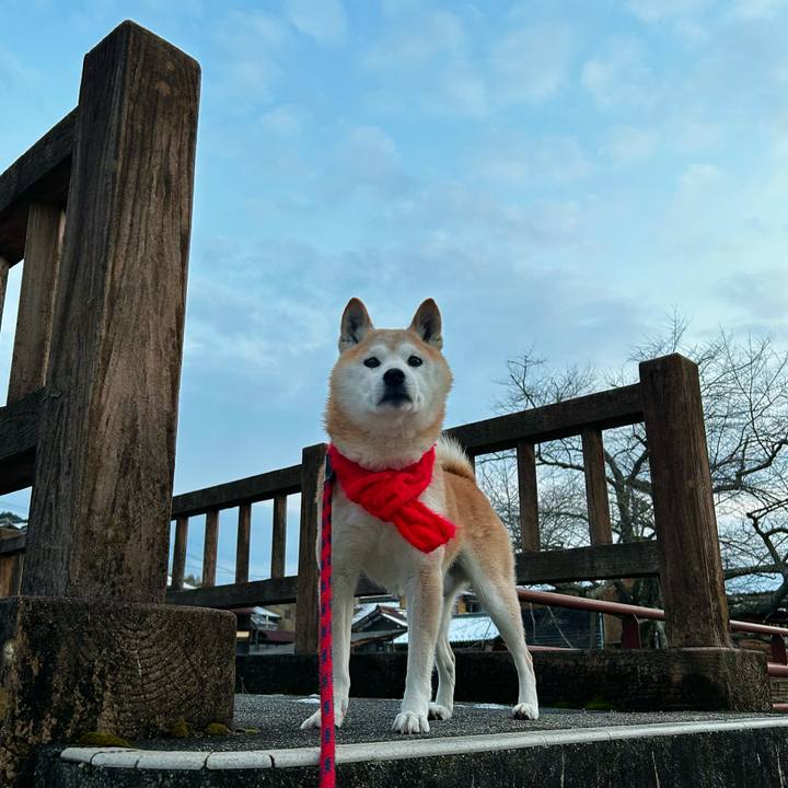 2c3e6b63 5c06 4003 81a3 f0770589dbc6 1769254484410