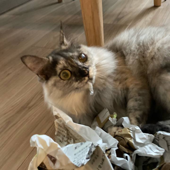 2c3e87a3 773b 4972 a697 fa913f8a9d25 1728089546561