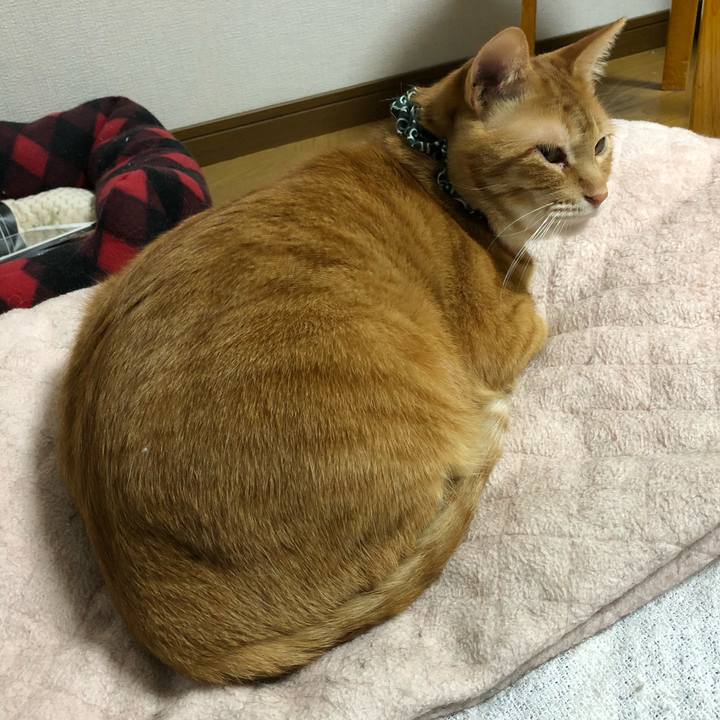 2c3e9ccc 5be4 46cd a474 f9e089c57f73 1556401520134