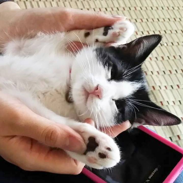 2c3ebeeb 7386 4a04 85d1 b19460976f78 1619569802205