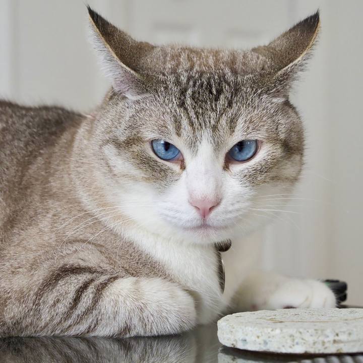 2c3ee605 92b9 4f1a a30a 8e11748ae444 1628312013367