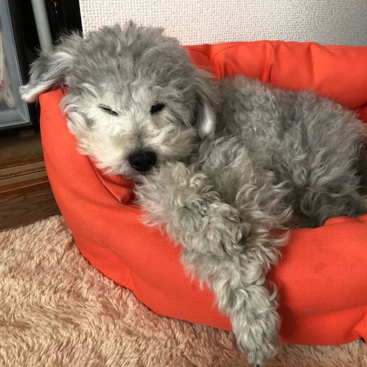 2c3ef052 f28e 44d6 bd7a 136fd690addd 1556860181889