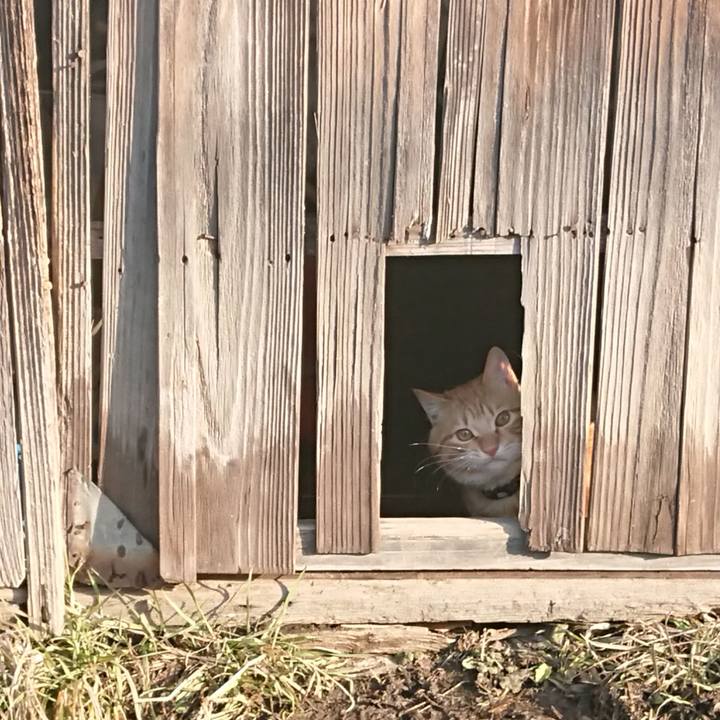 2c3f1c88 1cc4 4247 94d1 a2844a3a04a5 1646693816623