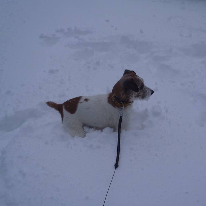 2c3f273b f4cc 45ab 9674 e21551706b33 1516781939237