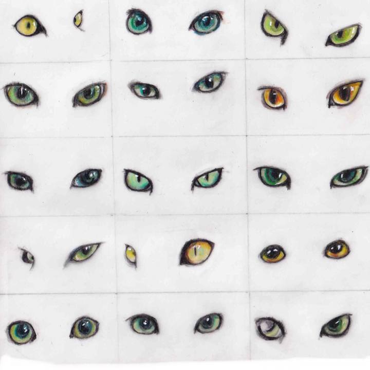 2c3f3fa0 d44c 476f aca8 81a73c0e8f4f 1618849574589