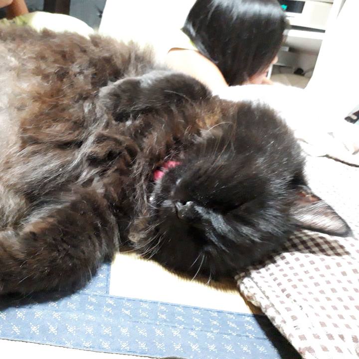 2c3f5718 4000 4b2b 97f8 d5111f299764 1534332392417