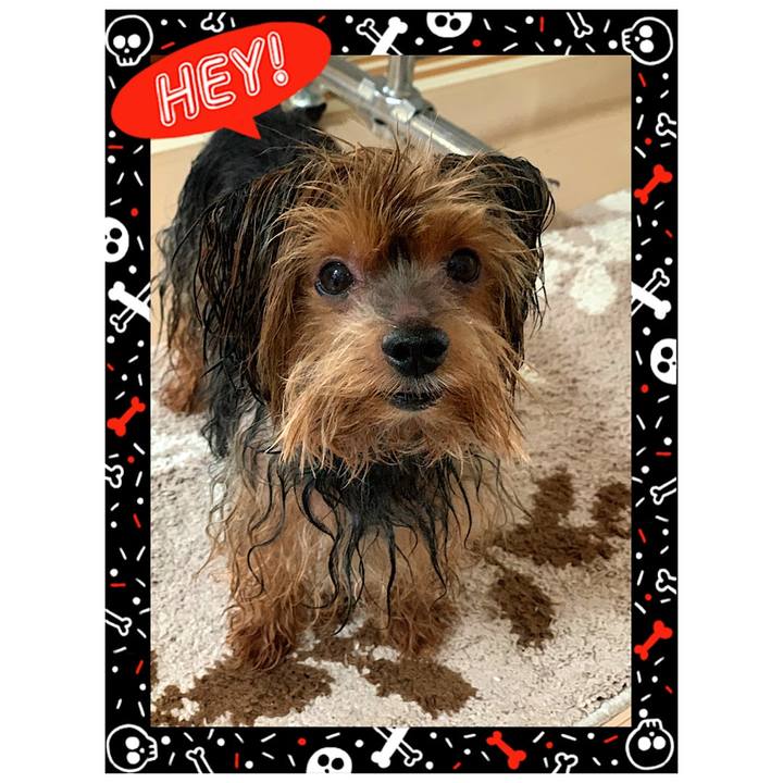 2c3f5bc3 b23c 45af 932a 65ef9a3458fe 1570429057614