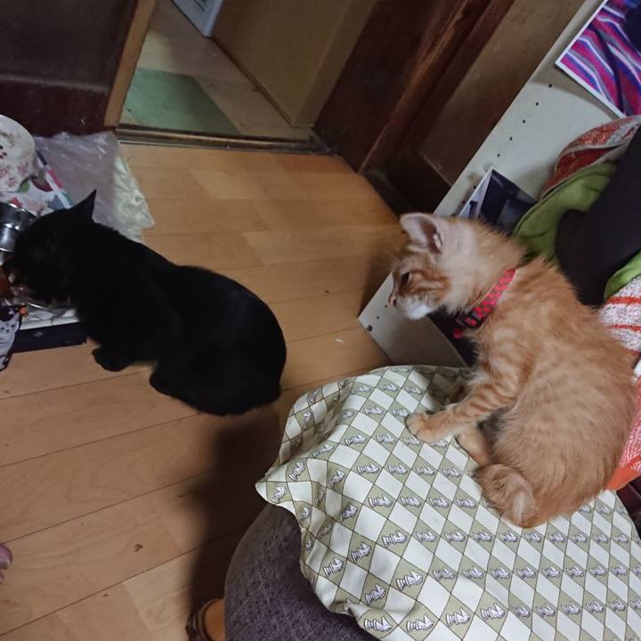 2c3f9d21 de80 41cb a3a3 d1789b387921 1628164116522