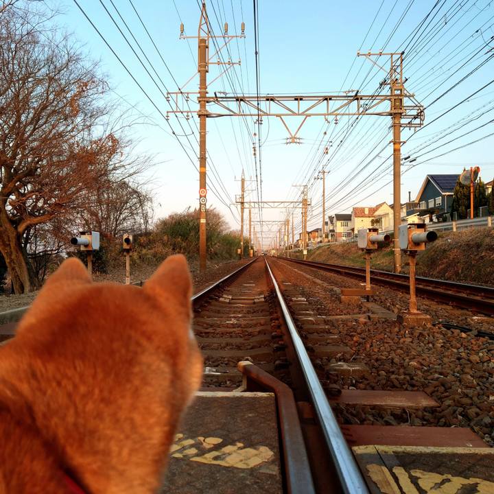 2c3fc692 b33a 41b3 a509 e5cbebb00b75 1768691523553