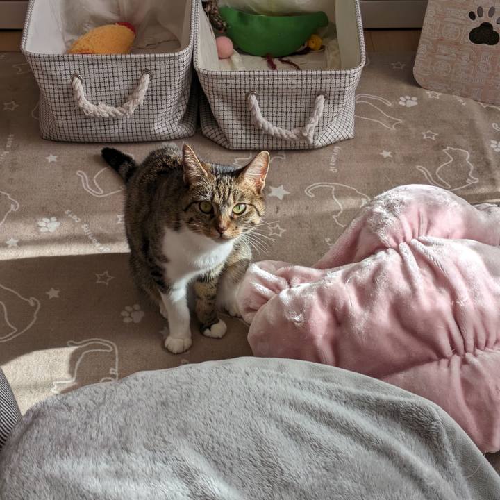 2c3fe1fe d74c 4fd2 bb26 6e8e7be04876 1702085165489