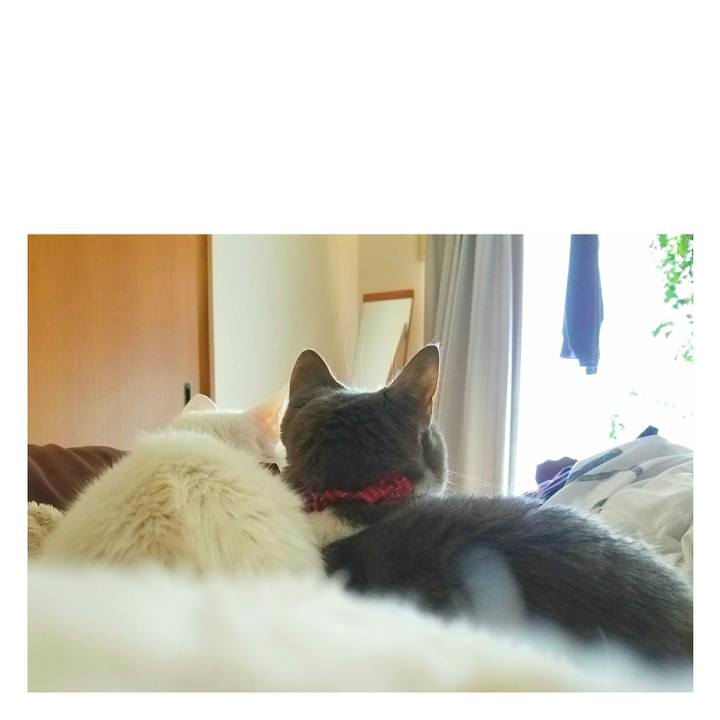 2c3ff9a0 39f1 4737 a3f7 4822d856ec1e 1509114585747