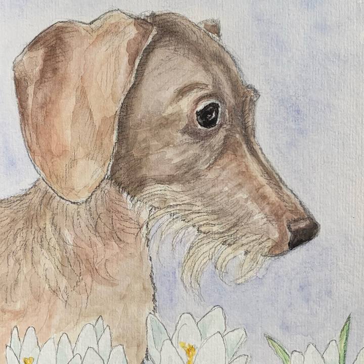 2c400664 2bb8 4d66 9c8d e2ca7e9a2860 1678517417600