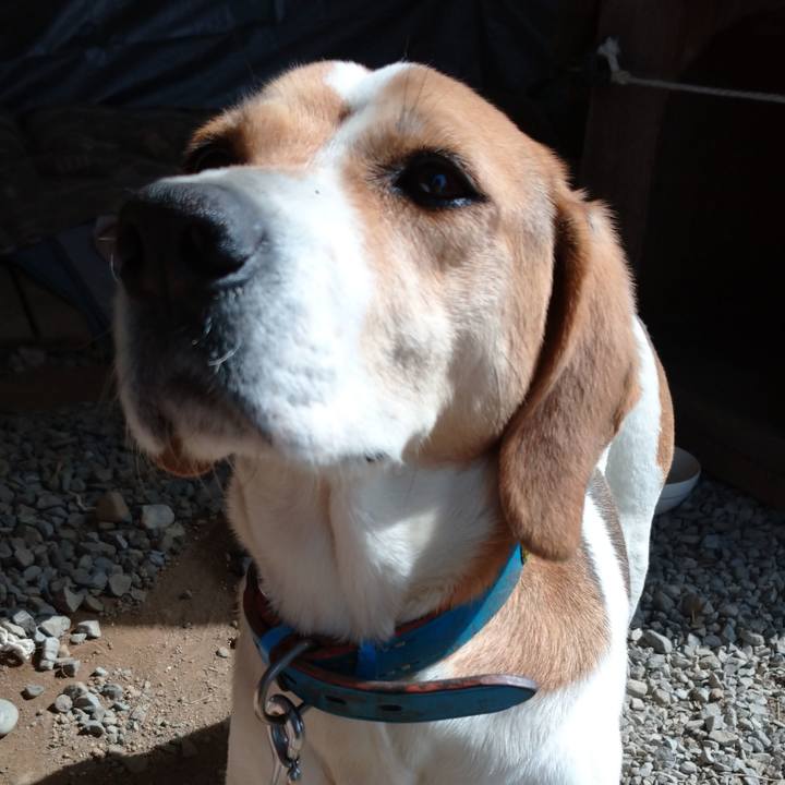 2c40095a b7ab 4be1 ad78 aa9ba93b6973 1616995495134