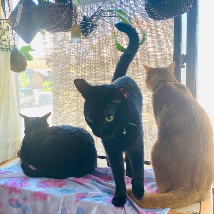 2c403b17 c661 48a3 b756 a877c9ccbebe 1695856968777