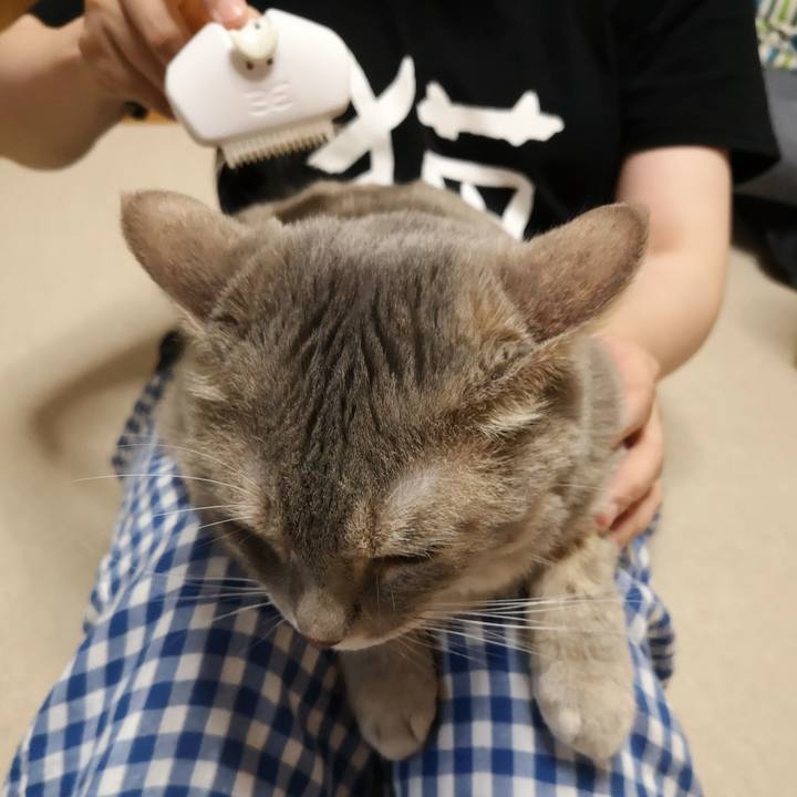 2c40a913 4513 4d37 b9ec bed31ee78615 1597672988484