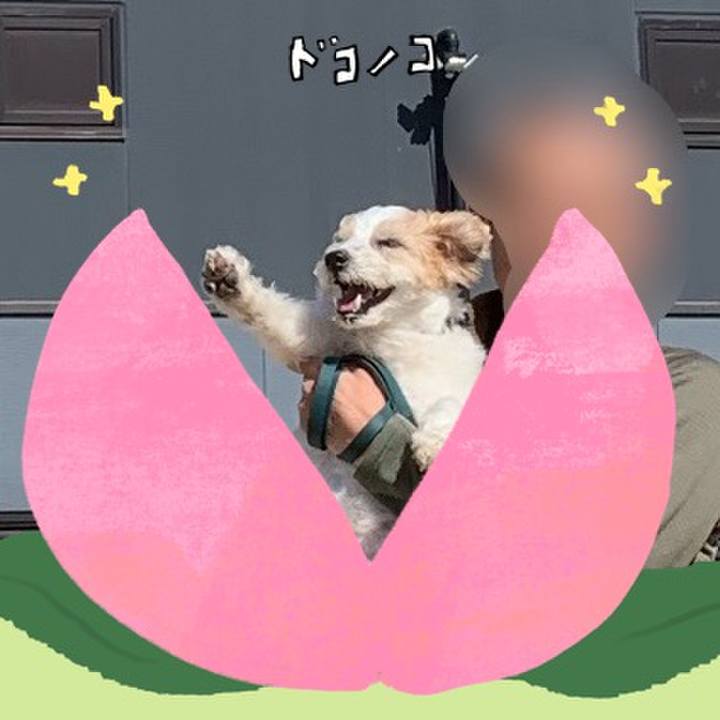 2c40f34c 7f19 4220 b441 5d26cc3a59f3 1771928196146