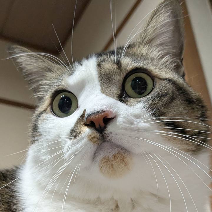 2c41046e ddb4 44be 8c35 6b674fed62ef 1768049252204