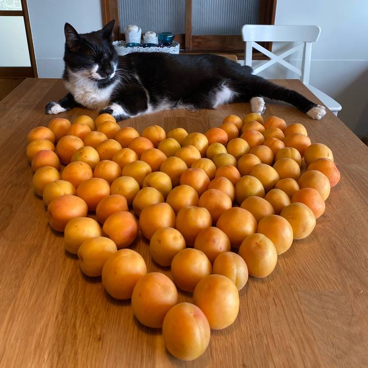 2c419fb6 d036 44ea 8f60 5b28c7a4fca5 1656210109231