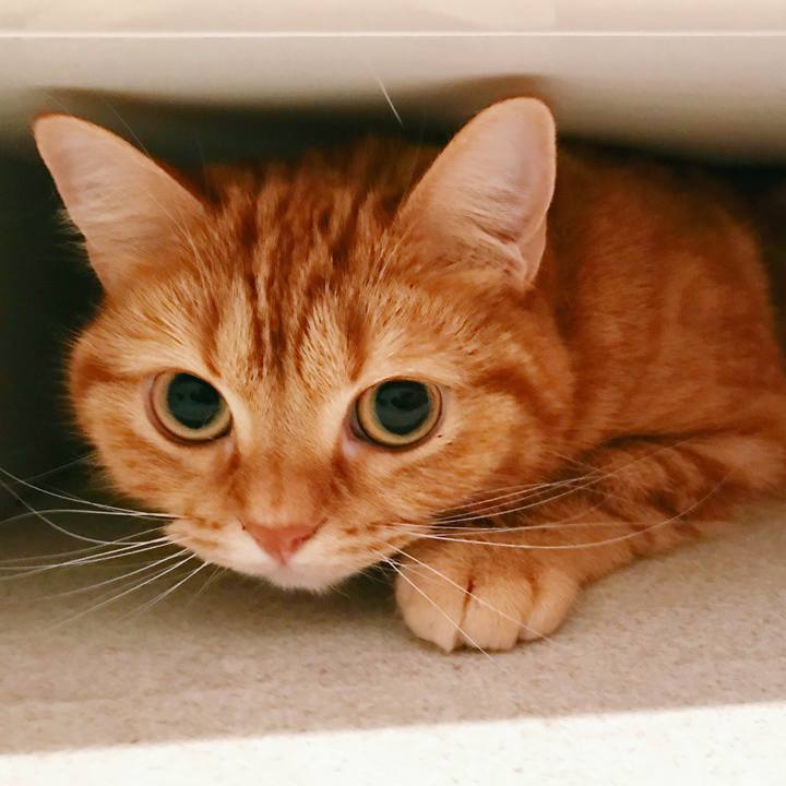 2c41adc3 97bd 49a6 ba57 c86321a250de 1521500267114