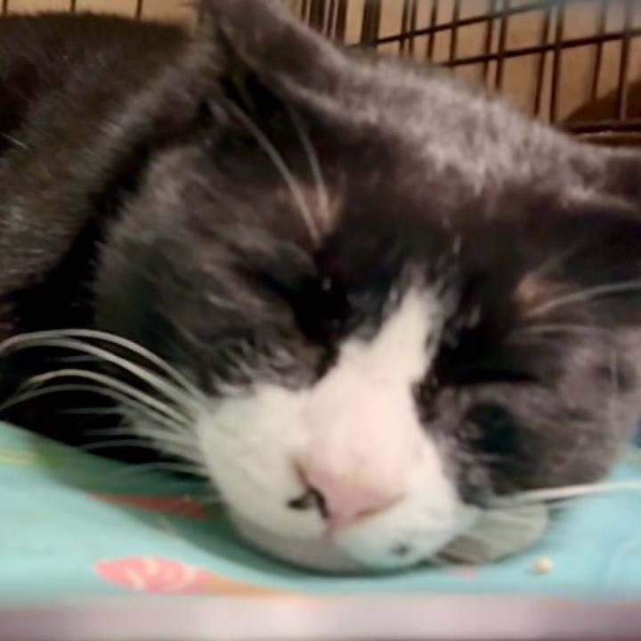 2c41cb23 634c 40b1 9e21 9eeb06acdfd6 1758448726045