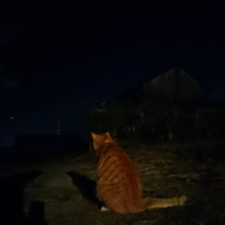 2c41ead5 d8f4 46b6 8985 5e4b20a44f52 1601891331638