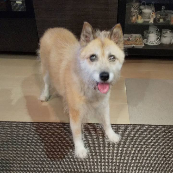 2c41fc53 4514 4b44 a02a 0e647fa5fe4b 1565914936207