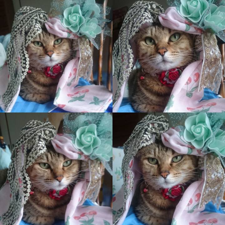 2c423126 fce5 40a3 b026 0e238e6a7a48 1769732914589