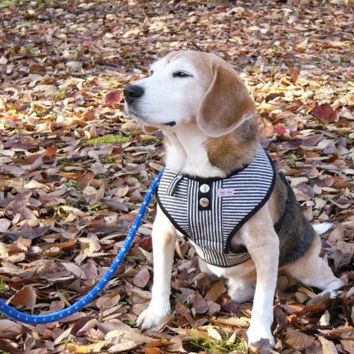 2c4294cf 72fa 4702 95d0 c59dd9596768 1657585045229