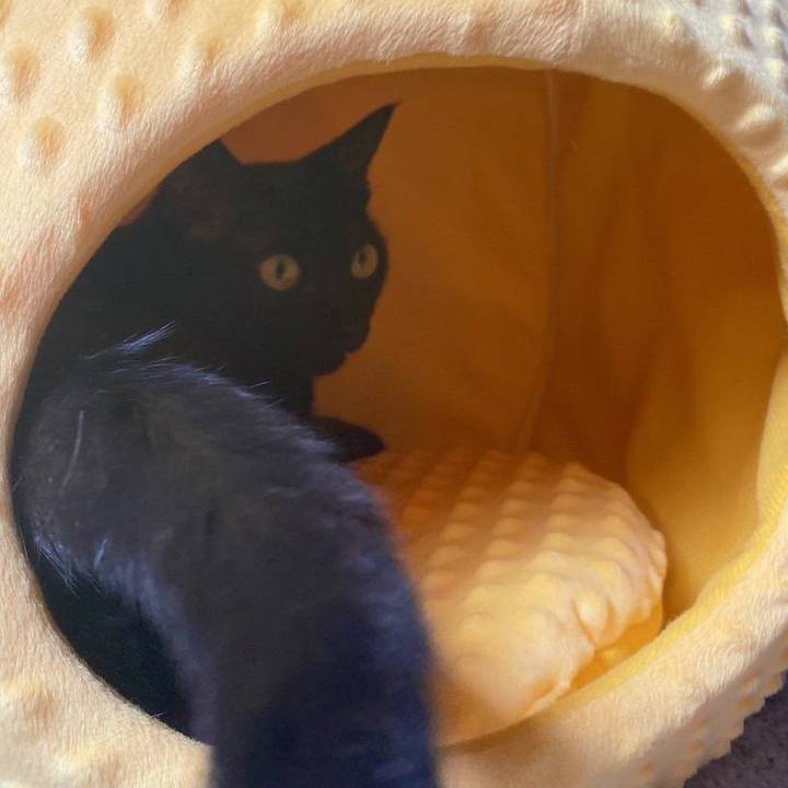 2c42dedc 908e 4e95 8476 8724e8fb1c1d 1659606732187