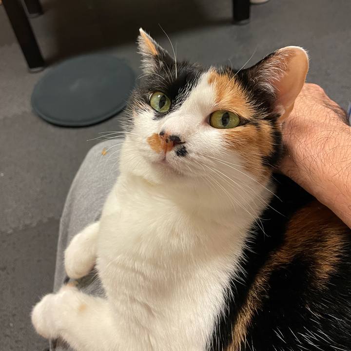 2c42efef d9fb 48fb a6bf 4ba5ac52fabe 1717245776156