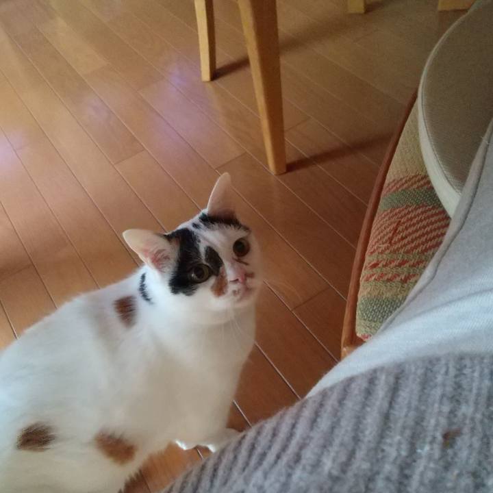 2c42fe41 8201 44aa ae61 3d71a21257ed 1710490299317