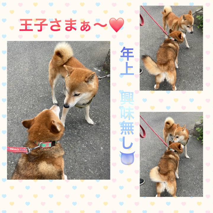 2c431ee9 b7d5 46b2 ad96 8c9f7aa10ee0 1659756724313