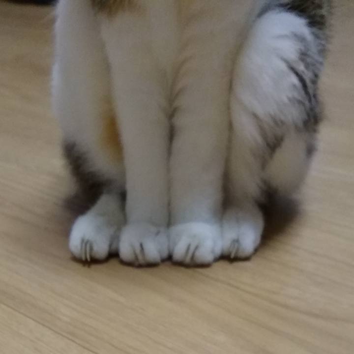 2c4328af 041f 46a6 af8e 48d13ecae4fc 1559483203506