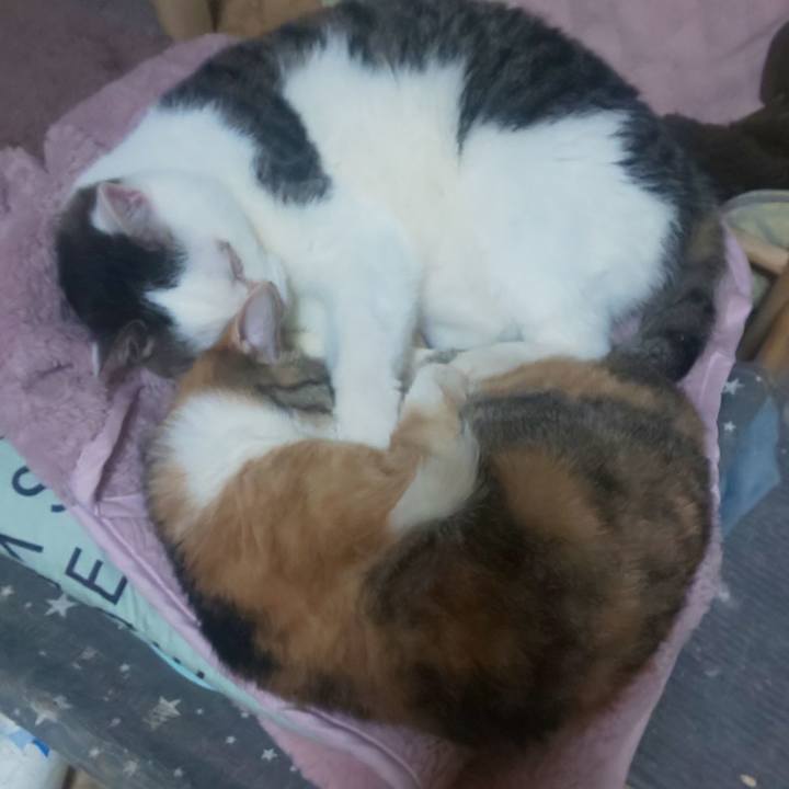 2c43301b fa4e 425a b824 b97c107dc138 1708060213262