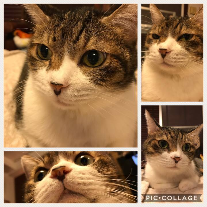 2c436852 8d8e 423d be74 929cef1f58eb 1540225181518