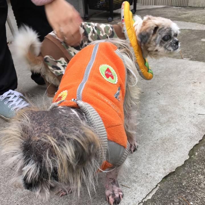 2c437c65 80ee 4fdf be18 a3265ebabd35 1515410911612