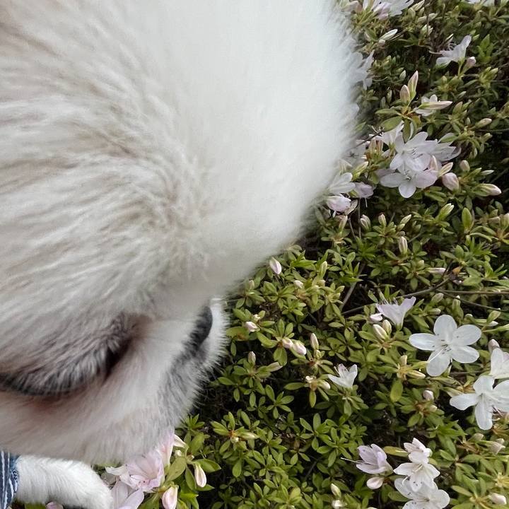 2c43aa36 7c4d 46d7 9ad8 b7ae0498d6a7 1652163642530