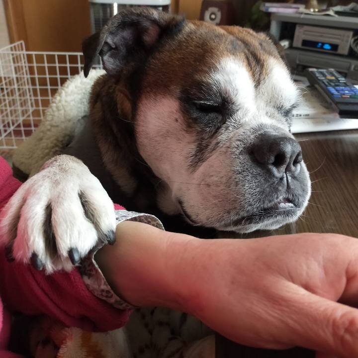 2c43b233 fdb9 45e8 bc33 2843820a0ece 1645359964276