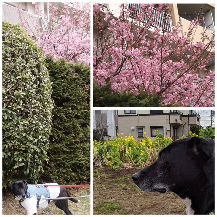 2c43b7a3 6013 4ed4 ad17 e4e97e67b6be 1708133976005